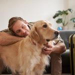 El Presidente InterContinental Puebla se sitúa como una opción pet friendly para los viajeros con mascota